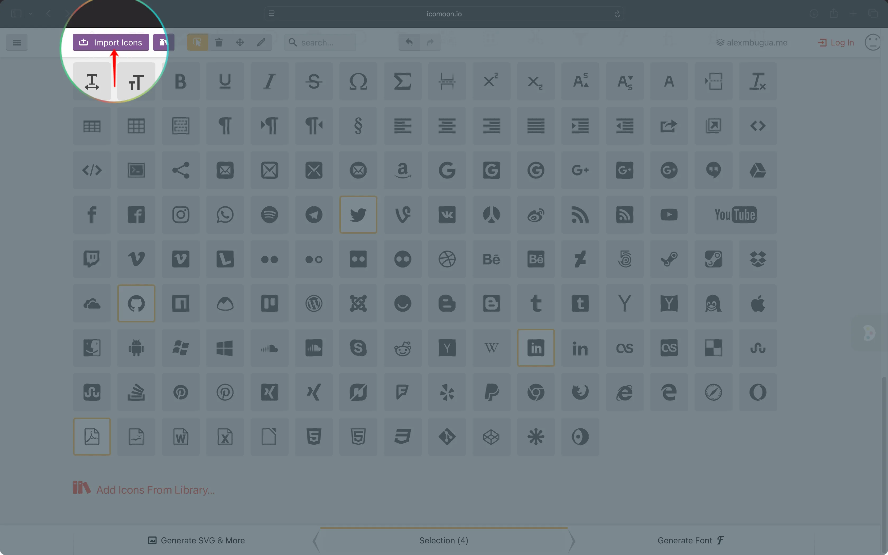 Import Icon