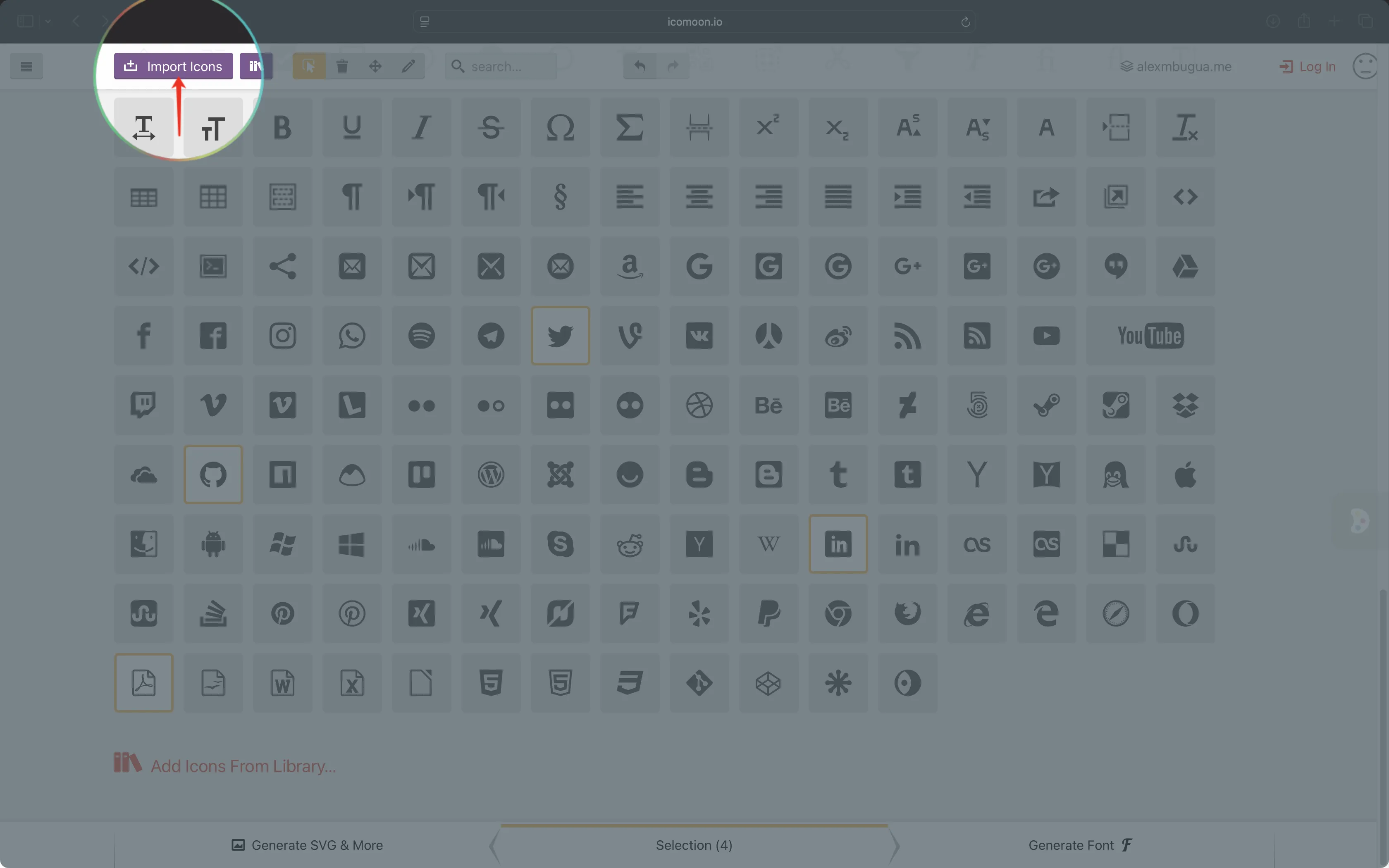 Import Icon